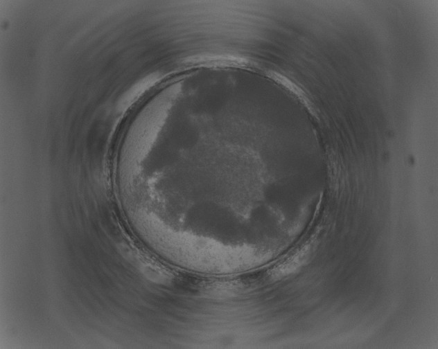 X0000070861074200606231247