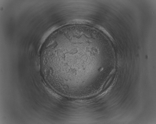 X0000070861075200606231247