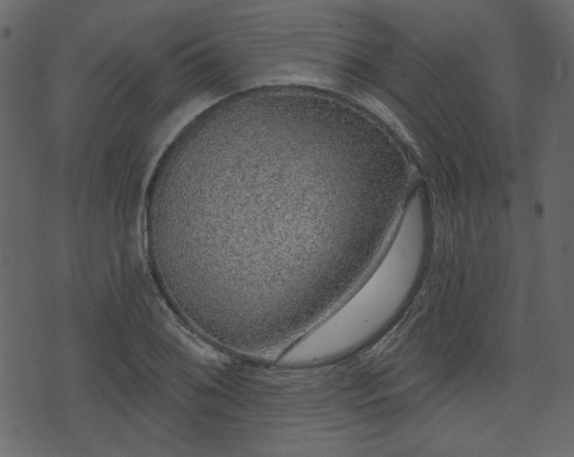 X0000070861076200606231247