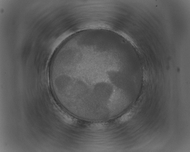 X0000070861078200606231247