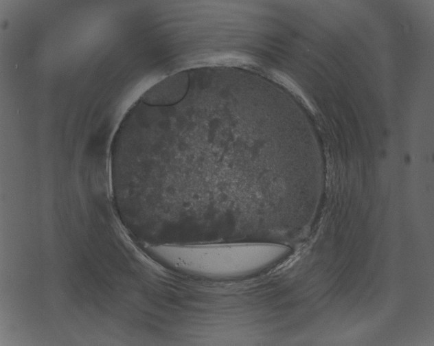 X0000070861079200606231247