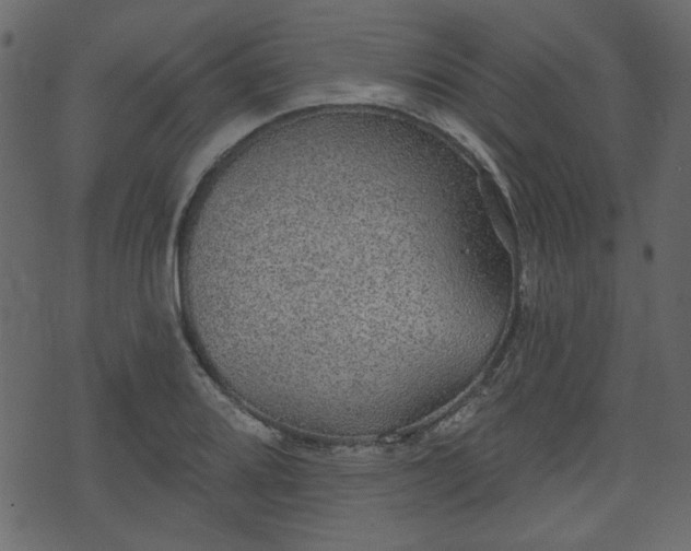 X0000070861080200606231247