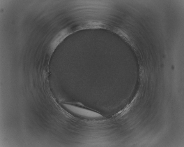 X0000070861081200606231247