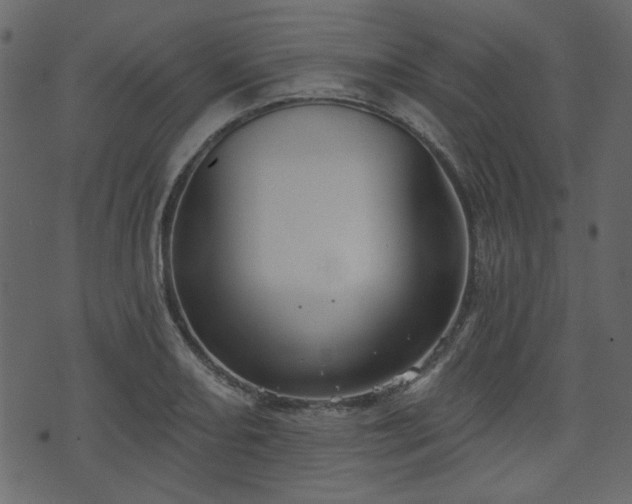 X0000070861082200606231247