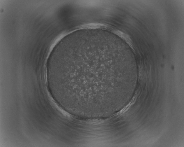 X0000070861083200606231247