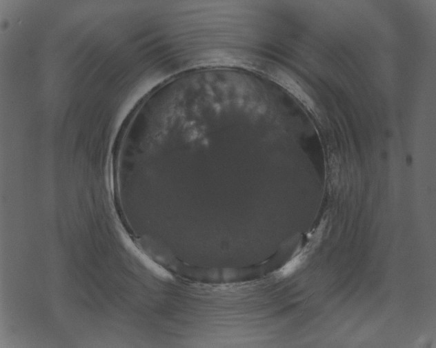 X0000070861084200606231247