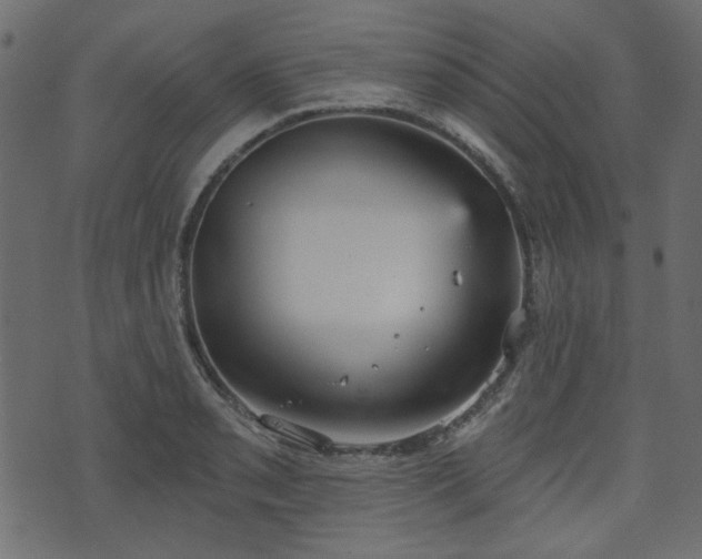 X0000070861085200606231247