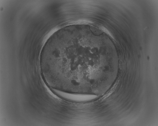 X0000070861087200606231247