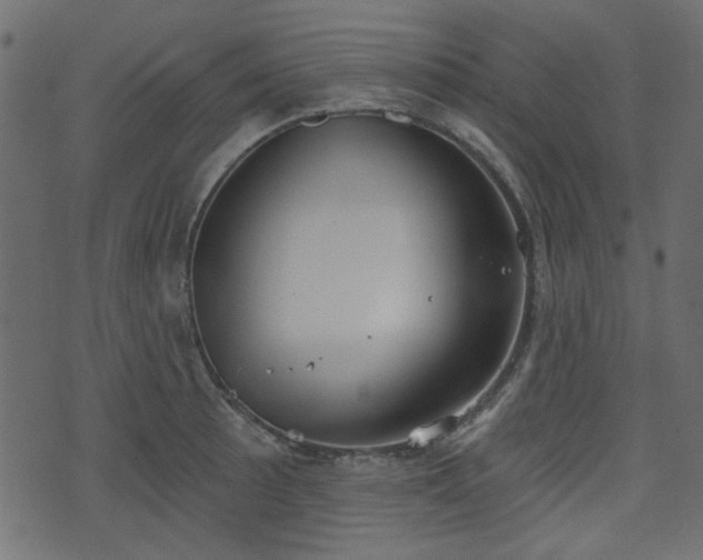 X0000070861089200606231247