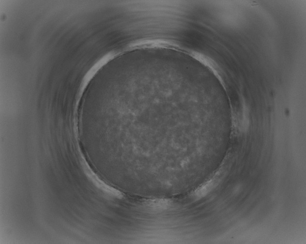 X0000070861090200606231247