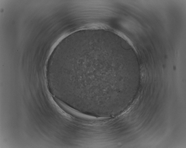 X0000070861091200606231247