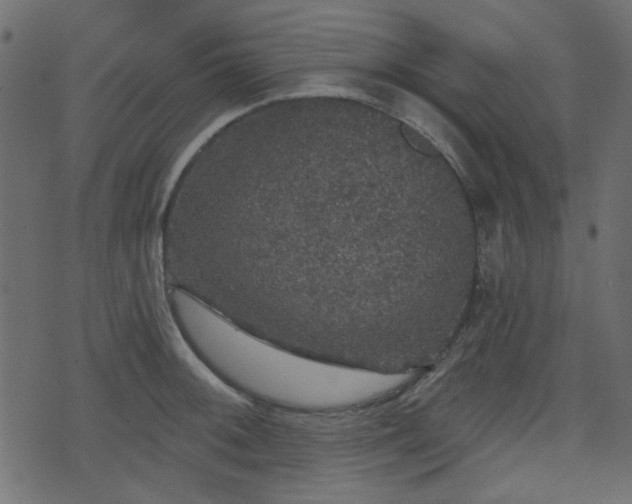 X0000070861092200606231247