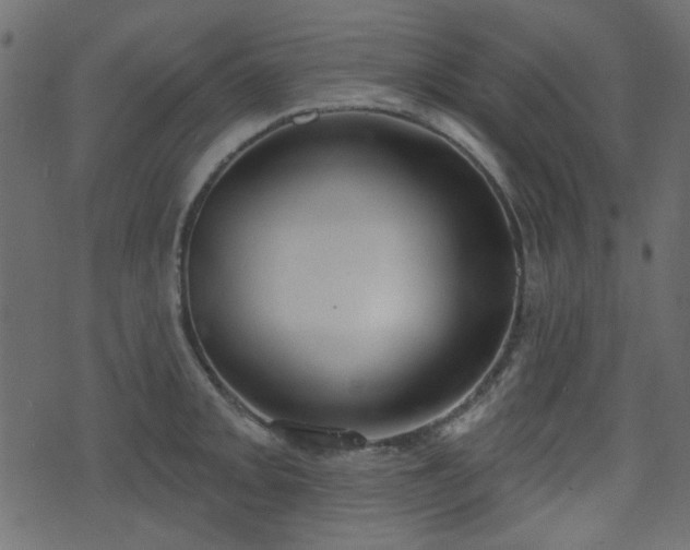 X0000070861093200606231247