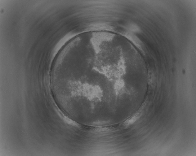 X0000070861094200606231247