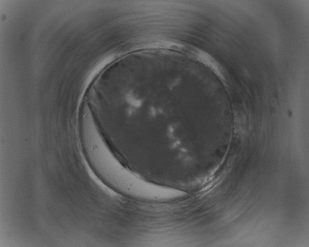 X0000070861095200606231247