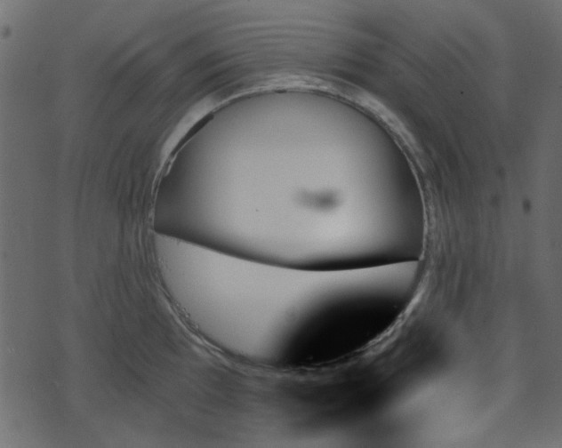 X0000070861097200606231247