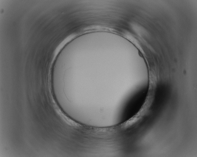 X0000070861098200606231247