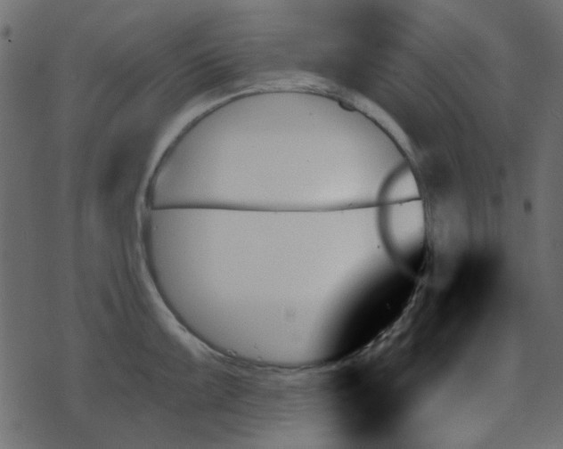 X0000070861099200606231247