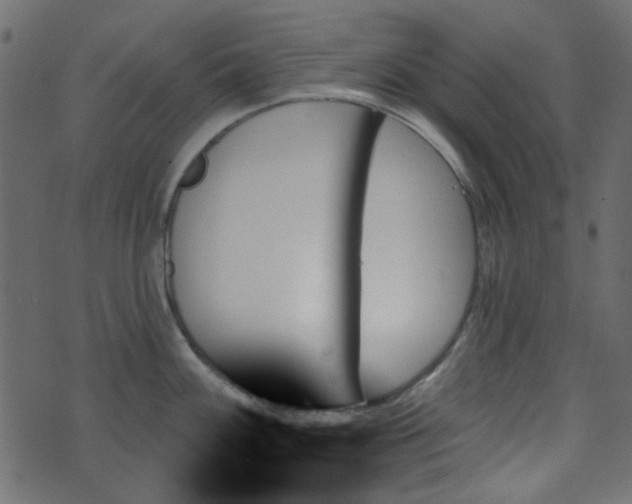 X0000070861100200606231246