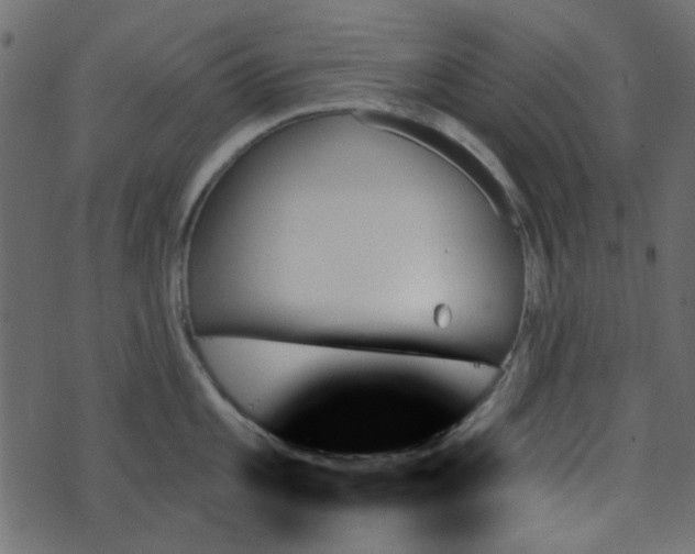 X0000070861101200606231246