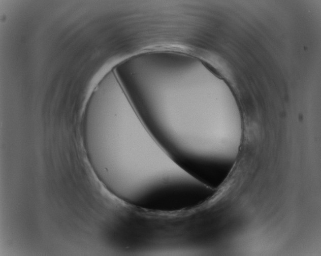 X0000070861102200606231246