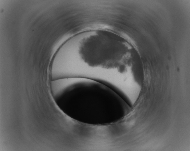 X0000070861103200606231246