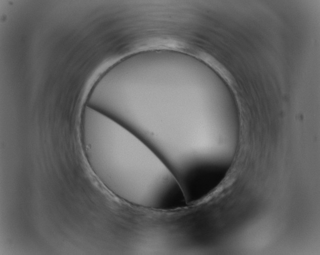 X0000070861104200606231246