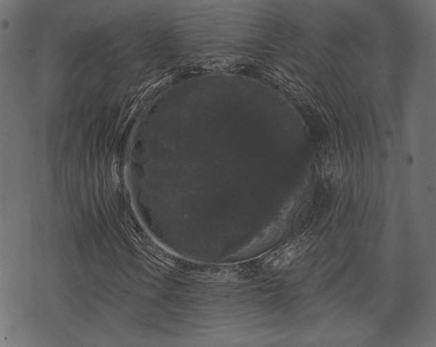 X0000070861106200606231246