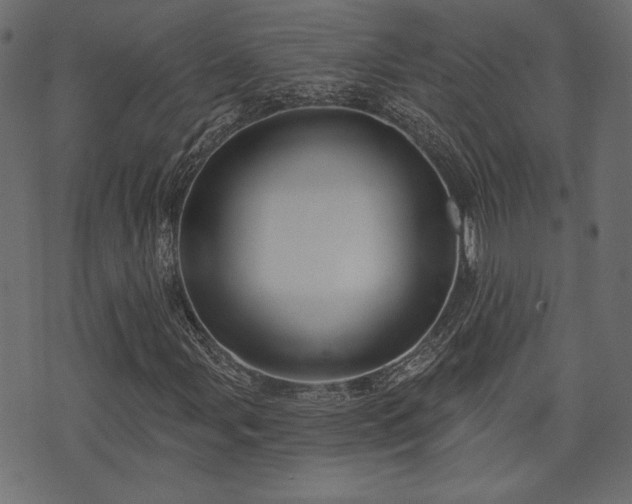 X0000070861107200606231246