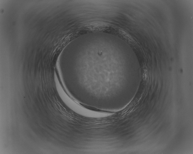 X0000070861108200606231246