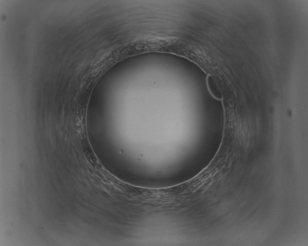 X0000070861109200606231246