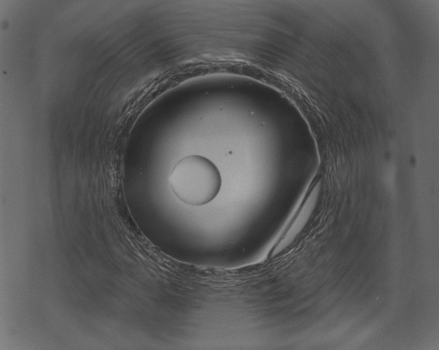 X0000070861110200606231246