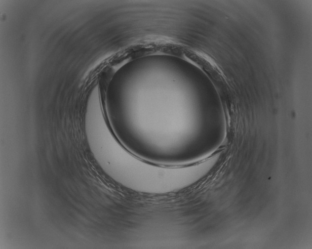 X0000070861112200606231246