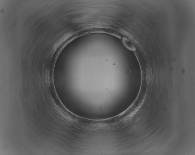 X0000070861113200606231246