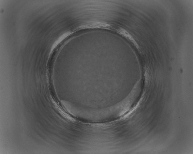 X0000070861114200606231246