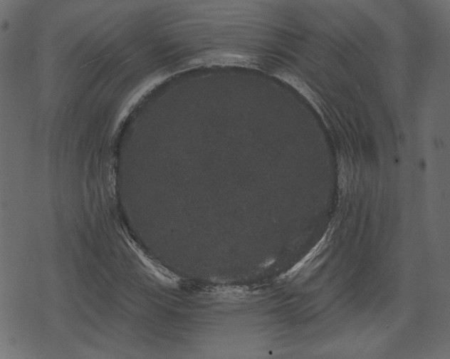 X0000070861115200606231246