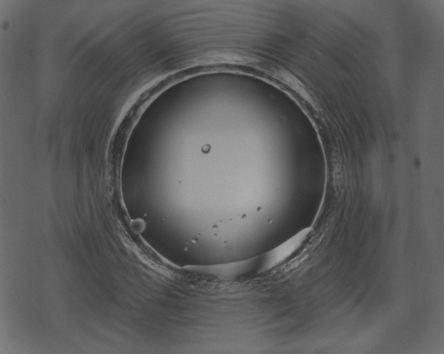 X0000070861116200606231246