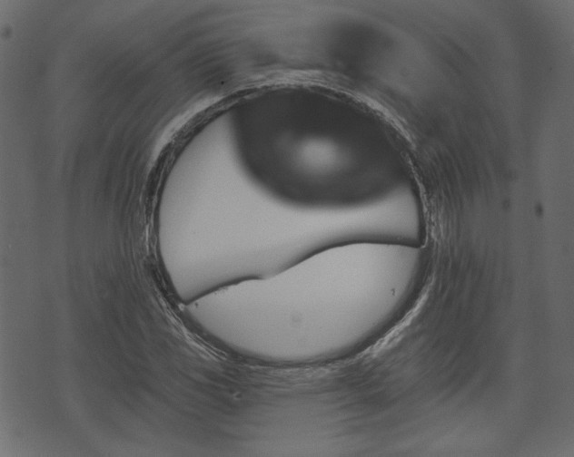 X0000070861117200606231246