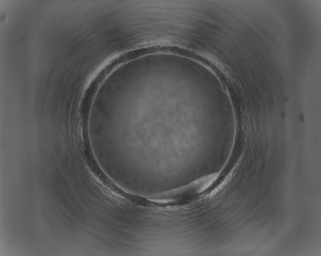 X0000070861118200606231246