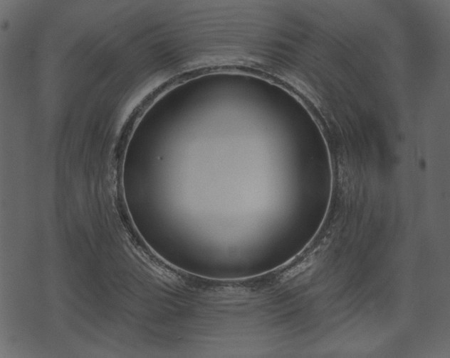 X0000070861119200606231246