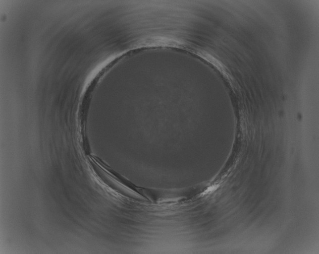 X0000070861120200606231246