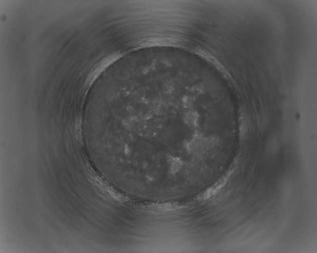 X0000070861121200606231246