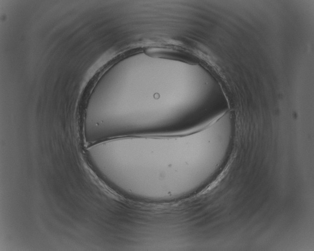 X0000070861122200606231246