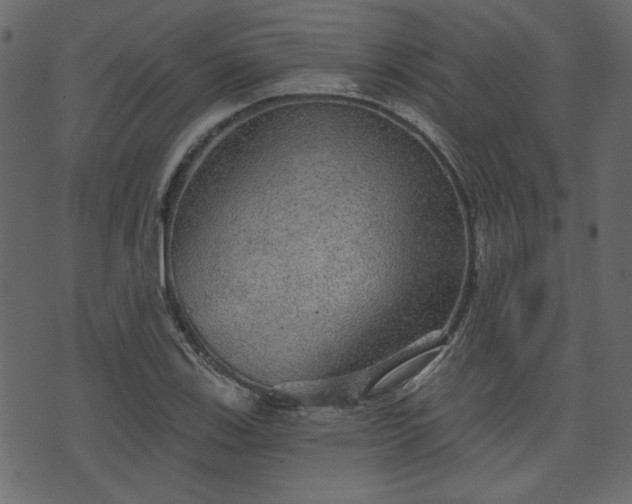 X0000070861123200606231246