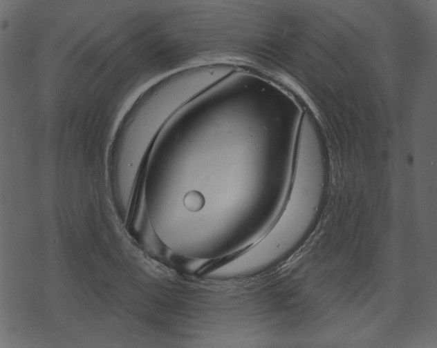 X0000070861124200606231246