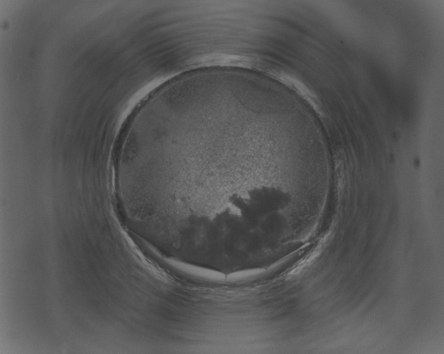 X0000070861125200606231246