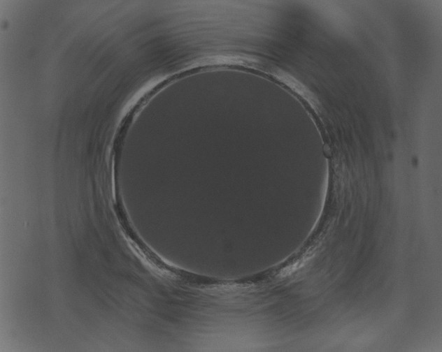 X0000070861127200606231246