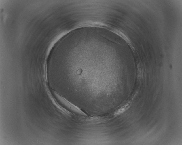 X0000070861128200606231246