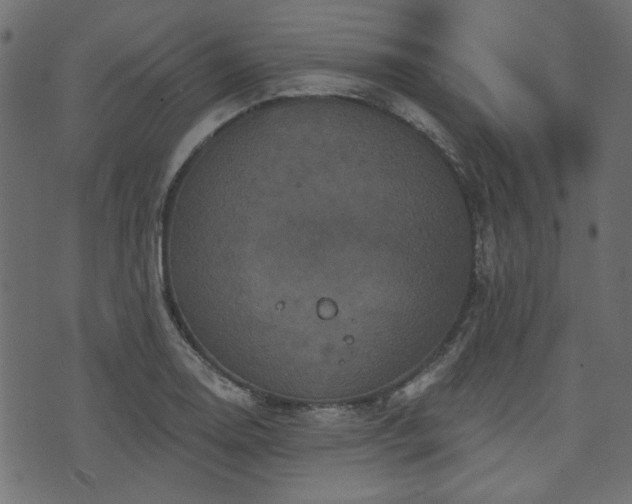 X0000070861130200606231246