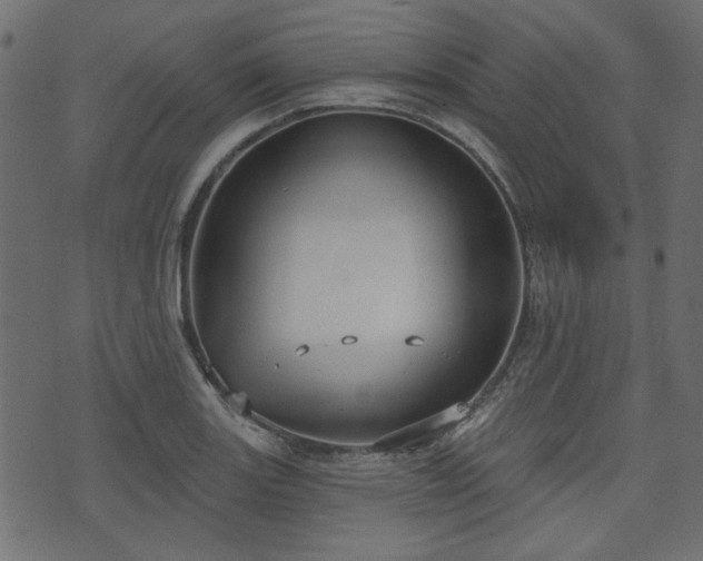 X0000070861131200606231246